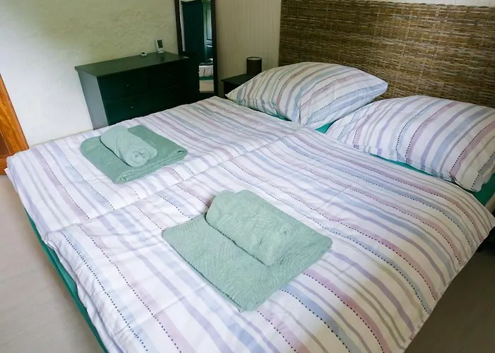 Modernes Mit Grossem Garten